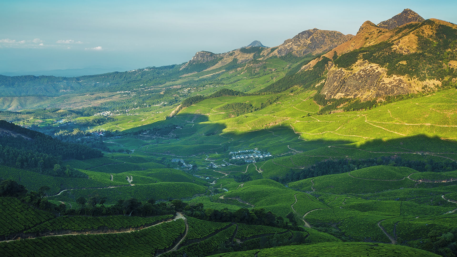 India_Scenery_Forests_Fields_Kolukkumali_Munnar_516532_1920x1080-min