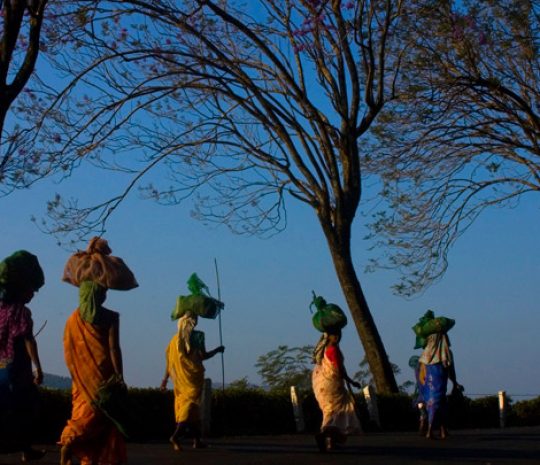 A_village_scene_62
